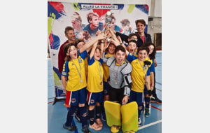 Notre équipe u12 mixte championne de France des départements !!!
