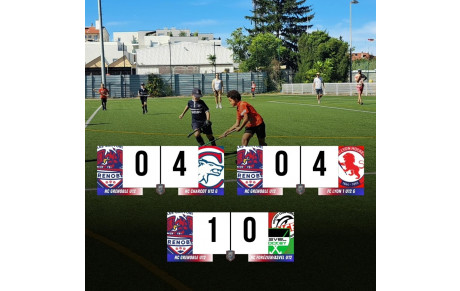 Les U12 du HCG engagés en championnat AURA